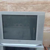 تلویزیون