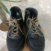 کفش کتونی دخترونه پسرونه طرح تدی  پاییزه|کیف، کفش، کمربند|مشهد, موسوی قوچانی|دیوار