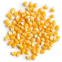 حبوبات و خشکبار بالاترین کیفیت و بهترین قیمت|خوردنی و آشامیدنی|نوشهر, |دیوار