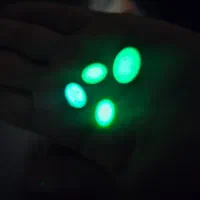 نگین گوهر شب چراغ یا شب نما