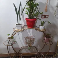 استند گل بزرگ