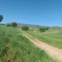 کارگر عالا