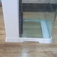 اکواریوم شرکتی کوچک دلسا