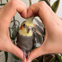 مدلینگ آرایشگاه خانم هستم.
