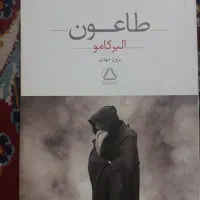 شازده کوچولو، زن همسایه،بلندی های بادگیر،طاعون،|کتاب و مجله ادبی|مشهد, گوهرشاد|دیوار