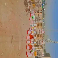 مرغ‌سفید‌