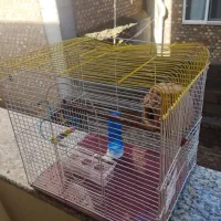 یک عدد قفس پرنده قشنگ با همه وسایل هاش