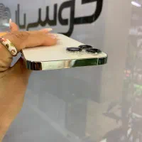 آیفون ۱۳پرومکس سیلور کمیاب|موبایل|اصفهان, باغ زرشک|دیوار