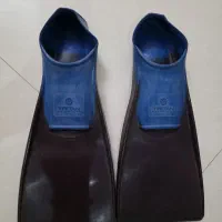 فین شنا