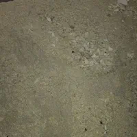 خوراک دام و طیور