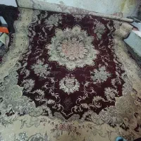 فرش|فرش|شیراز, فاضل|دیوار