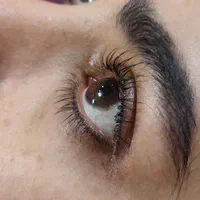 لیفت ولمینت اکستنشن مژه آموزش (تاآخرماه فقط..)|خدمات آرایشگری و زیبایی|مشهد, امیر|دیوار