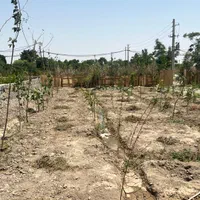 فروش زمین ۵۶۵ متری