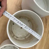 گلدان مهرنی|گل و گیاه طبیعی|بجنورد, |دیوار