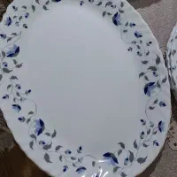 آرکوپال امارات
