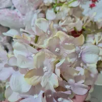 گل مصنوعی مزونی|گل مصنوعی|اسفراین, |دیوار