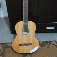 گیتار هافنر آلمانی