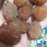 آلو بخارا درجه یک