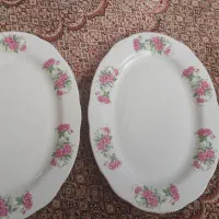 دیس پلوخوری