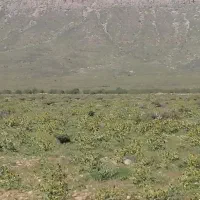 زمین-مشاع-گویم