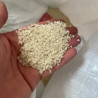 برنج