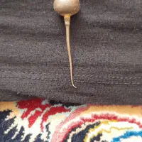 گوشواره نقره ۲۴گرمه قدیمیه چند تاسکه قدیمی|کلکسیون اشیاء عتیقه|سنندج, |دیوار