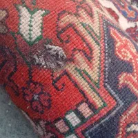 فرش شیش متری هریس