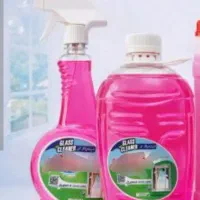 شیشه پاک کن