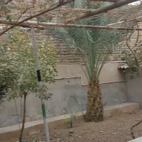 یک باب منزل مسکونی بزرگ جنت اباد|اجارهٔ خانه و ویلا|قنوات, |دیوار