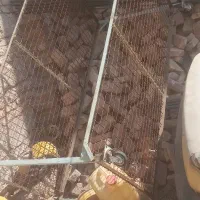 چهار پایه فلزی