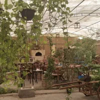 کمک آشپز فست فود|استخدام خدمات فروشگاه و رستوران|رفسنجان, |دیوار