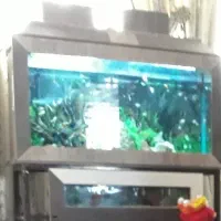 آکواریوم ماهی ام دی اف باپایه فلزی|ماهی|محلات, |دیوار