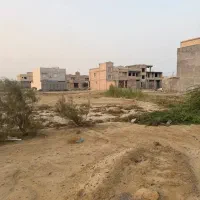 زمین-سند-تک-برگ-دوکله