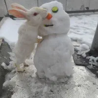 خرگوش|موش و خرگوش|کرمانشاه, |دیوار