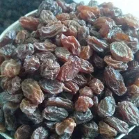کشمش آفتابی