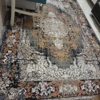 فرشینه سالم .