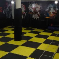 اجاره سانس باشگاه رزمی ثبت نام کلاس ووشو