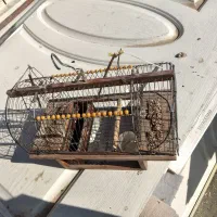 قفس|لوازم جانبی حیوانات|زنجان, |دیوار