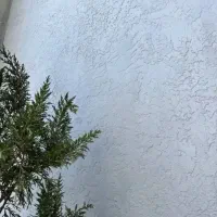 نیازمند نیرو میکروسمنت حرفه ای خانم میکروسمنت نما