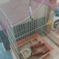 قفس بزرگ|لوازم جانبی حیوانات|قم, نیروگاه|دیوار