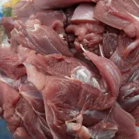 گوشت خالص  مرغ گینه و گوشت شترمرغ
