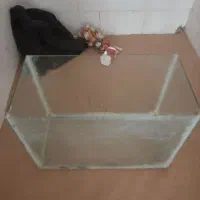 آکواریوم ماهی