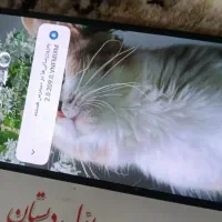 شیائومی m6پرو رام 12 در حد نو