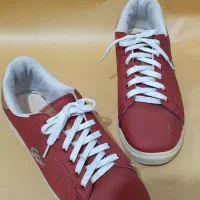 کفشها جفتی ۱۵۰ سایز ۳۷