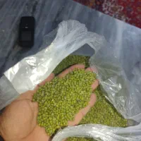 ماش|خوردنی و آشامیدنی|سوق, |دیوار