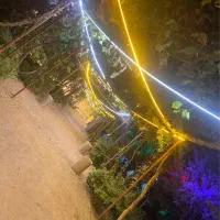 اجاره باغ|خدمات پذیرایی، مراسم|بردسیر, |دیوار