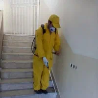 سمپاشی خانه سوسک موش ساس سم کک کنه سم پاشی موریانه|خدمات نظافت|کرج, فاز ۳ گوهردشت|دیوار