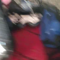 لباس سربازی|لباس|سنندج, |دیوار