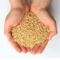 گندم کیلویی ۳۴ چک ۵ماهه فروشنده تماس چک ثبتی