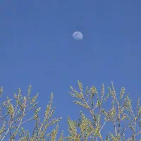 سفر مسافرت تور شمال کیش